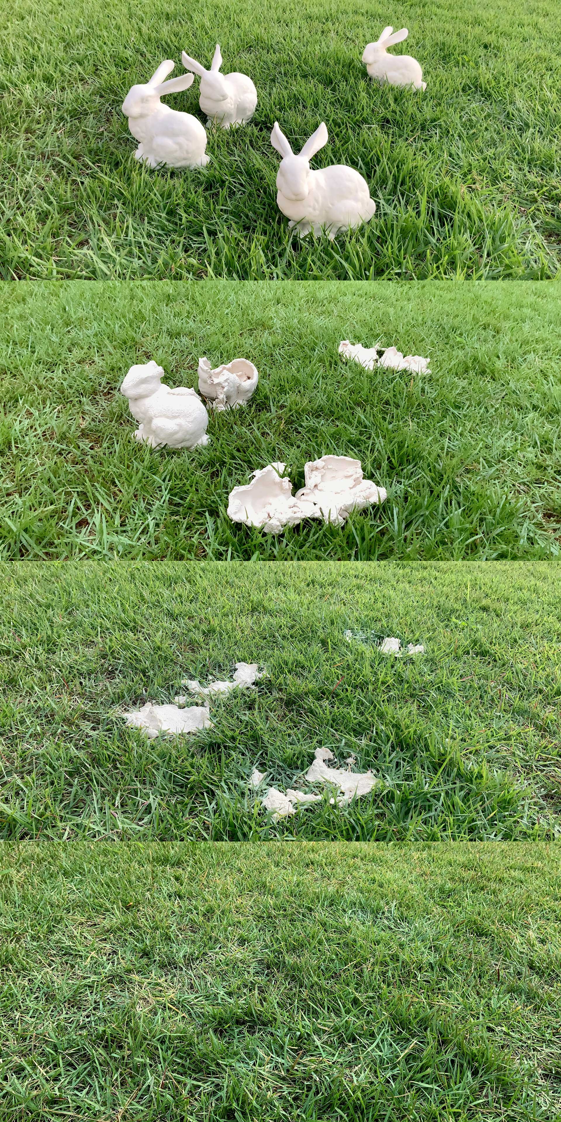 도자 슬립 캐스팅된 스탠퍼드 버니 점토 조각이잔디밭에 설치되어 서서히 붕괴되는 과정